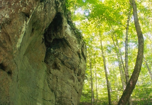 Big South Fork country